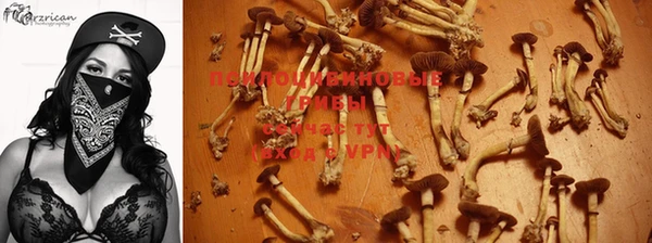 молекула духа Балабаново